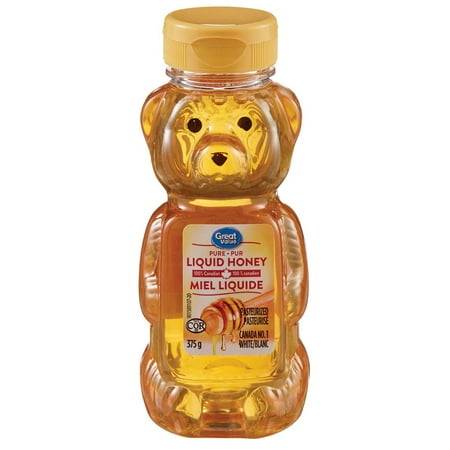 Great value miel liquide canadien 100 % pur (375 g) - pure liquid honey 100% canadian (375 g)