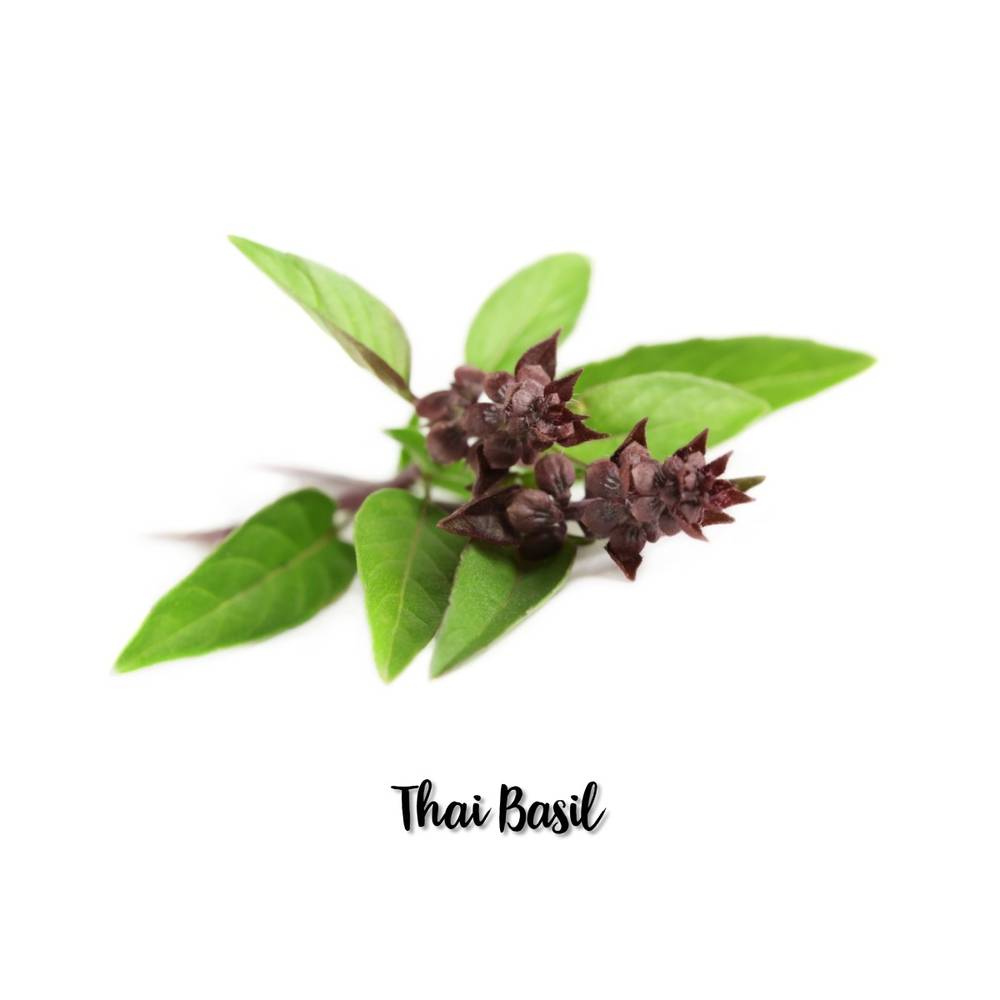 Thai Basil