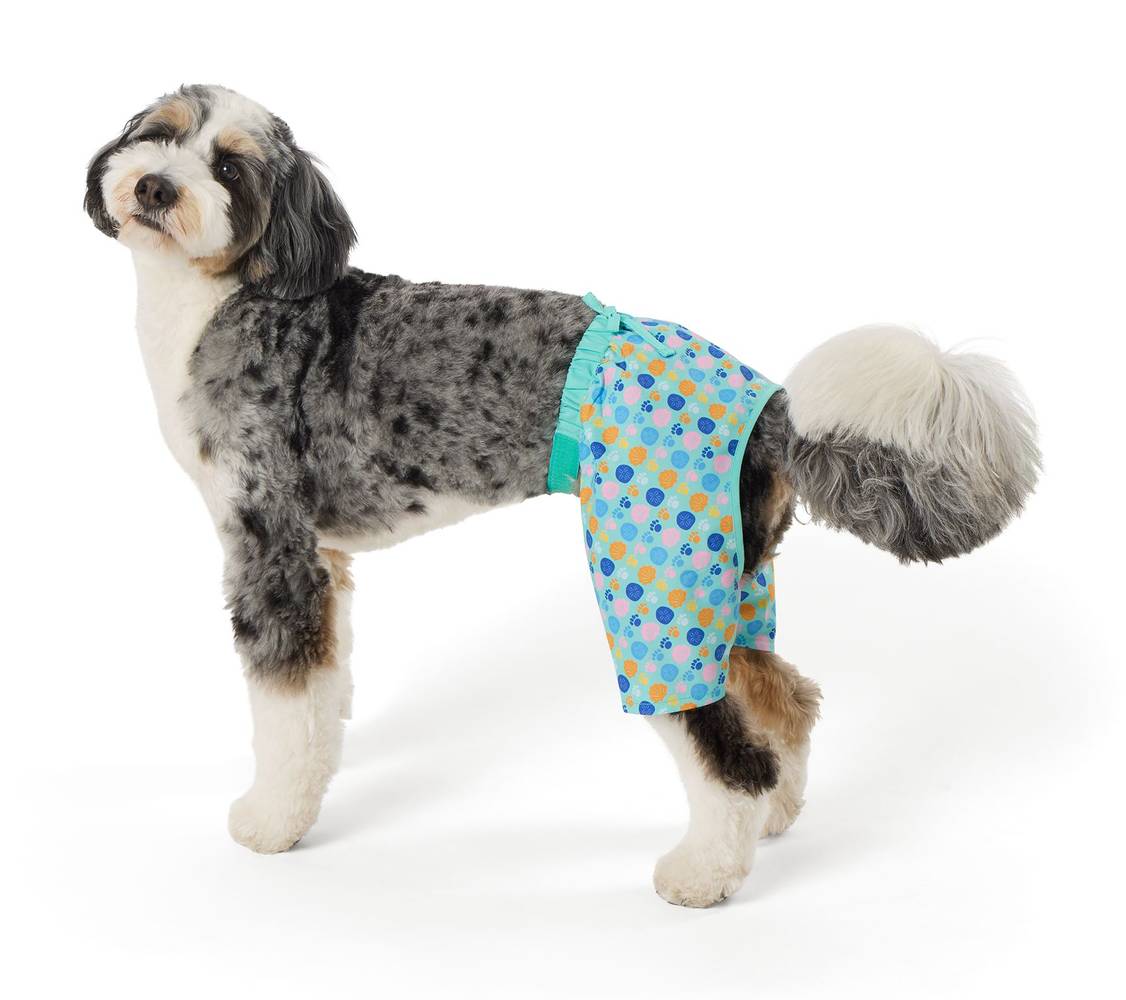 Top Paw® Seashell Dog Trunk Shorts (Color: Teal, Size: Medium)