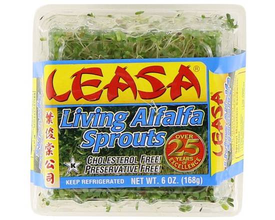 Alfalfa Sprouts (6 oz)