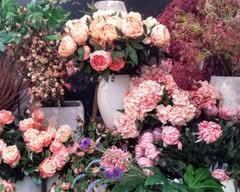 Fine Floral Decor & Event (2395 Cawthra)