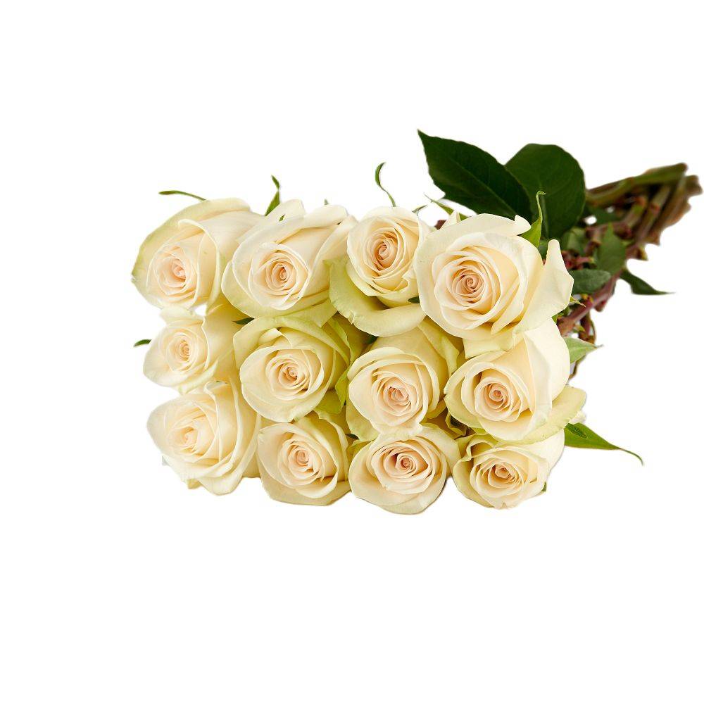 Dozen White Roses