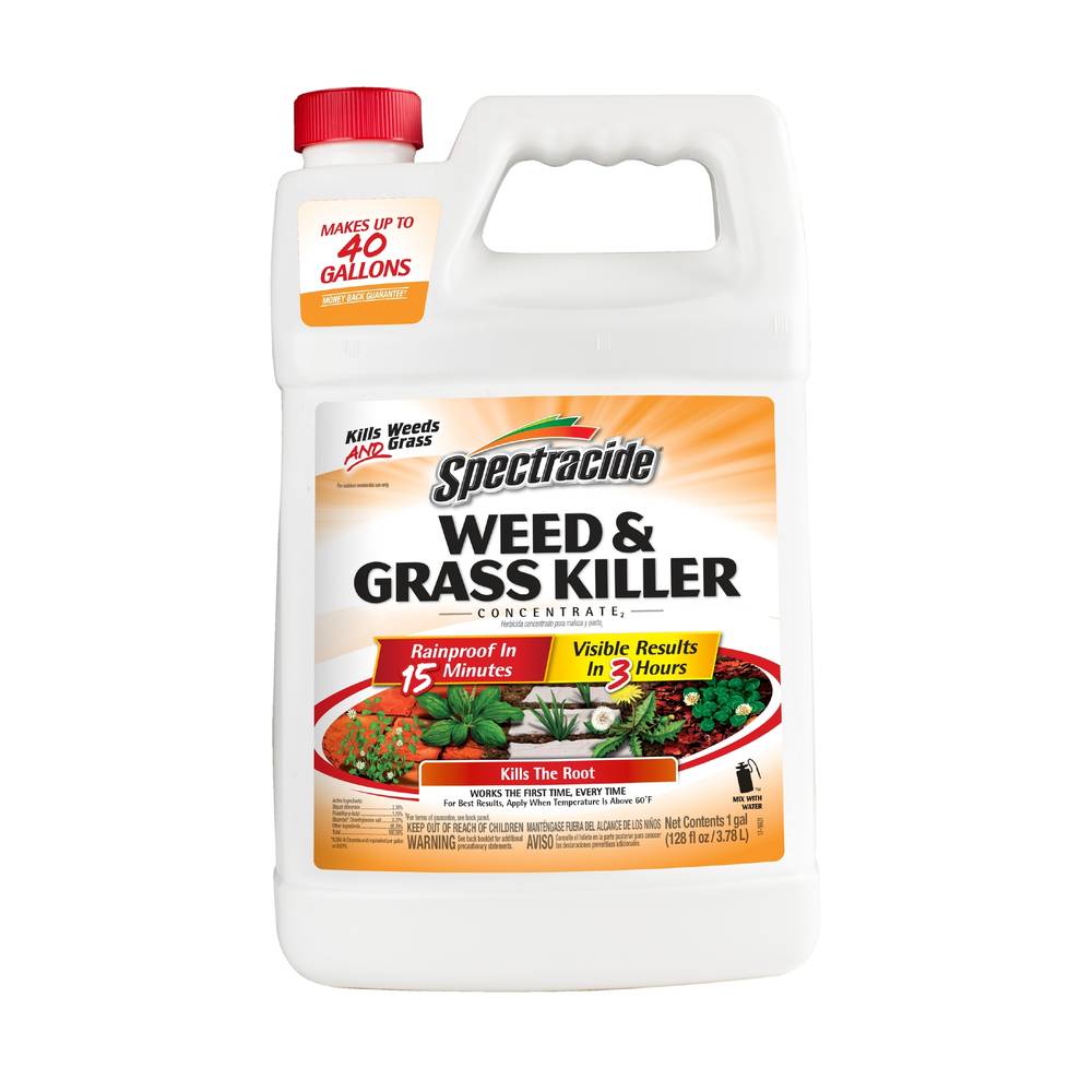 Spectracide 1-Gallon Concentrated Weed and Grass Killer | HG-96620