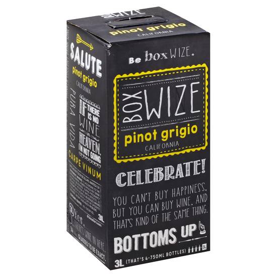 Box Wize California Pinot Grigio Wine (3 L)