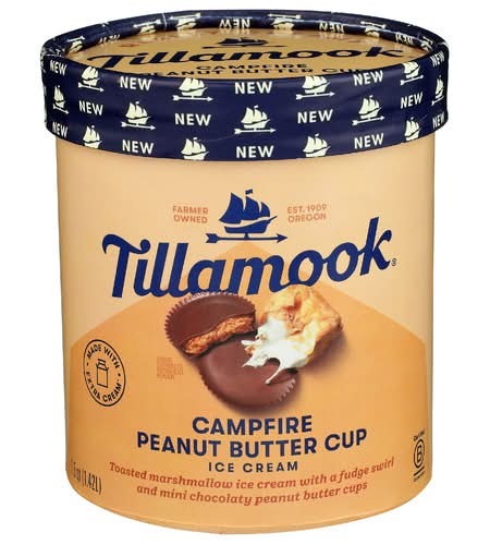Tillamook Campfire Peanut Butter Cup Ice Cream