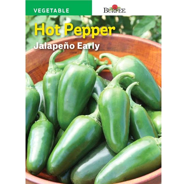 Burpee Hot Pepper, Jalapeno Early