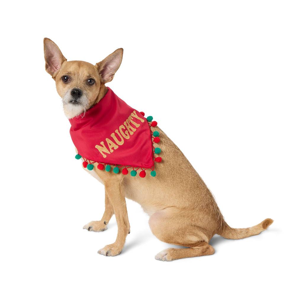 Merry & Bright Naughty/Nice Holiday Pet Bandana, X Large/2X Large, Assorted