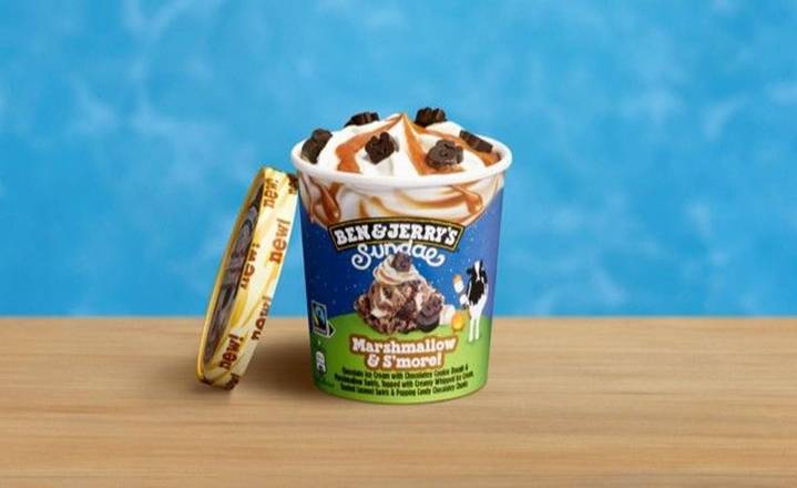 Ben & Jerry's Marshmellow & S'More Sundae Ice Cream 427 ml