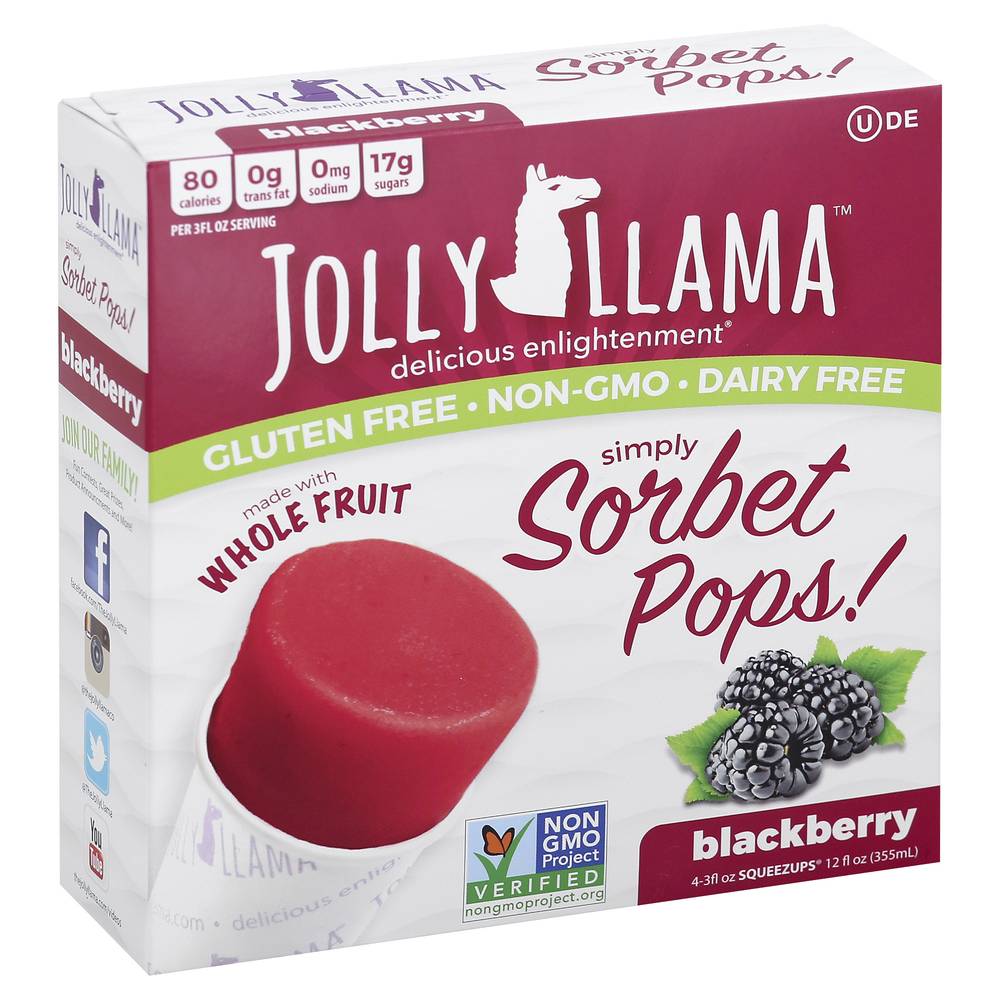 Jolly Llama Blackberry Sorbet Pops (12 fl oz)