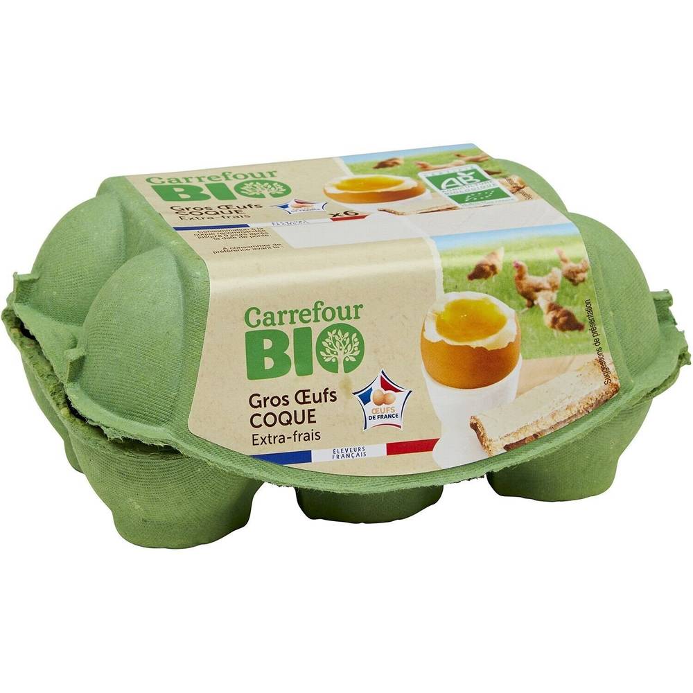 Carrefour Bio - Œufs bio gros coque extra frais (6)