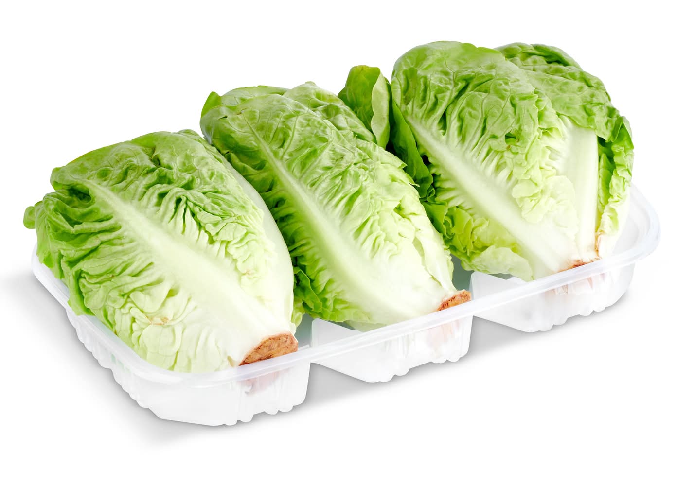 Cogollos Bandeja 3 Unidades