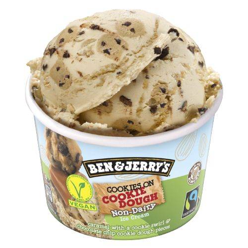 Ben & Jerry's Cookie Dough non-dairy (100ml)