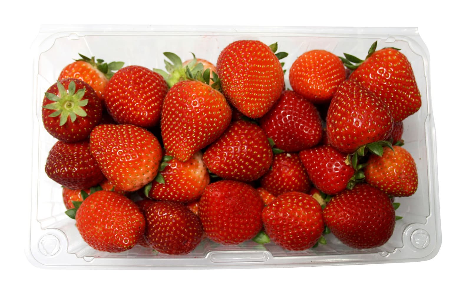 Fraises De Serre, 794 G / Hot House Strawberries, 794 G