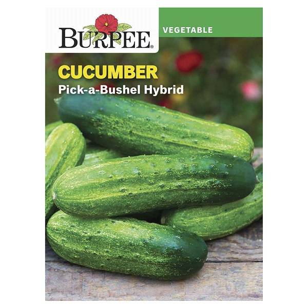Burpee Seed Packet Cucumber, Picklebush