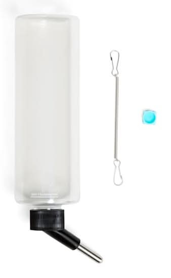 EveryYay Water Bottle For Animals Assorted, Medium