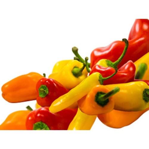 Rainbow Bell Peppers (2 lbs)