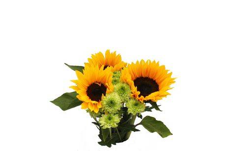 Flower Bouquet Summer Sunflower