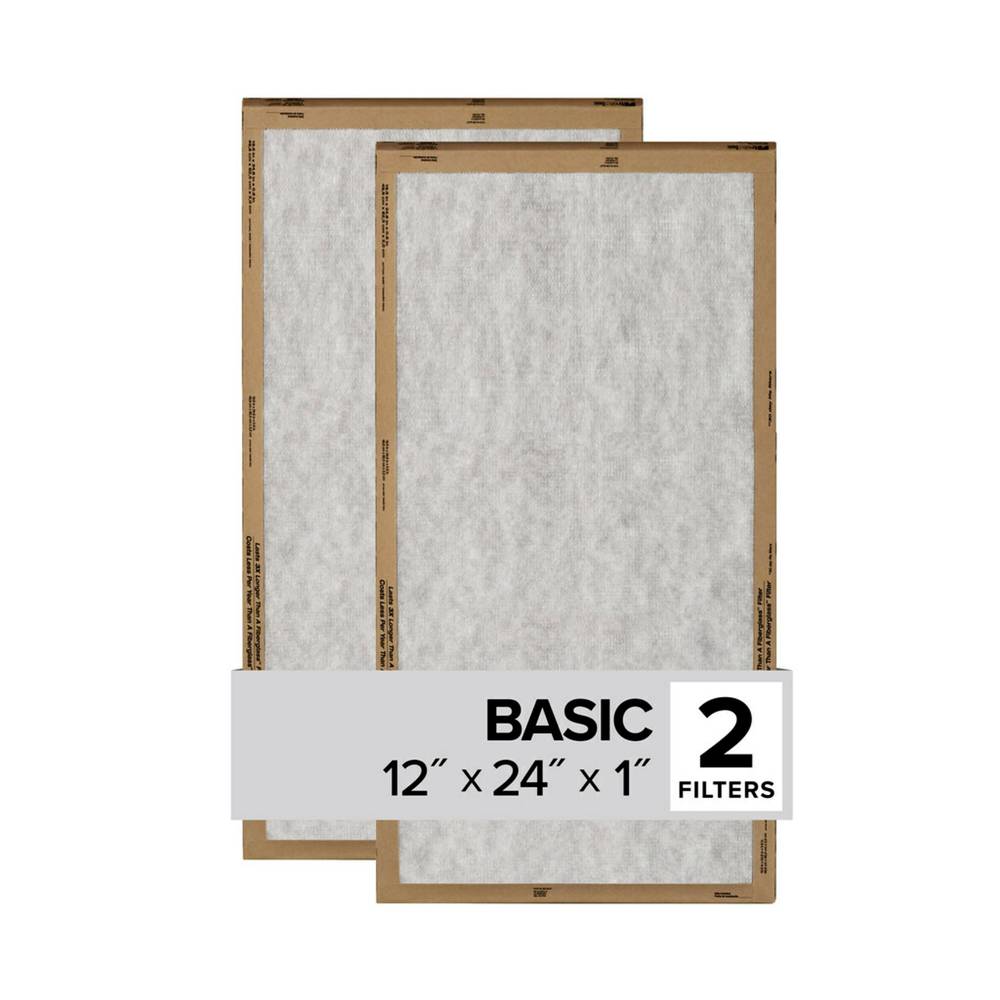 Filtrete 12-in W x 24-in L x 1-in MERV 1 Basic Flat Air Filter (2-Pack) | FPL20-2PK-24