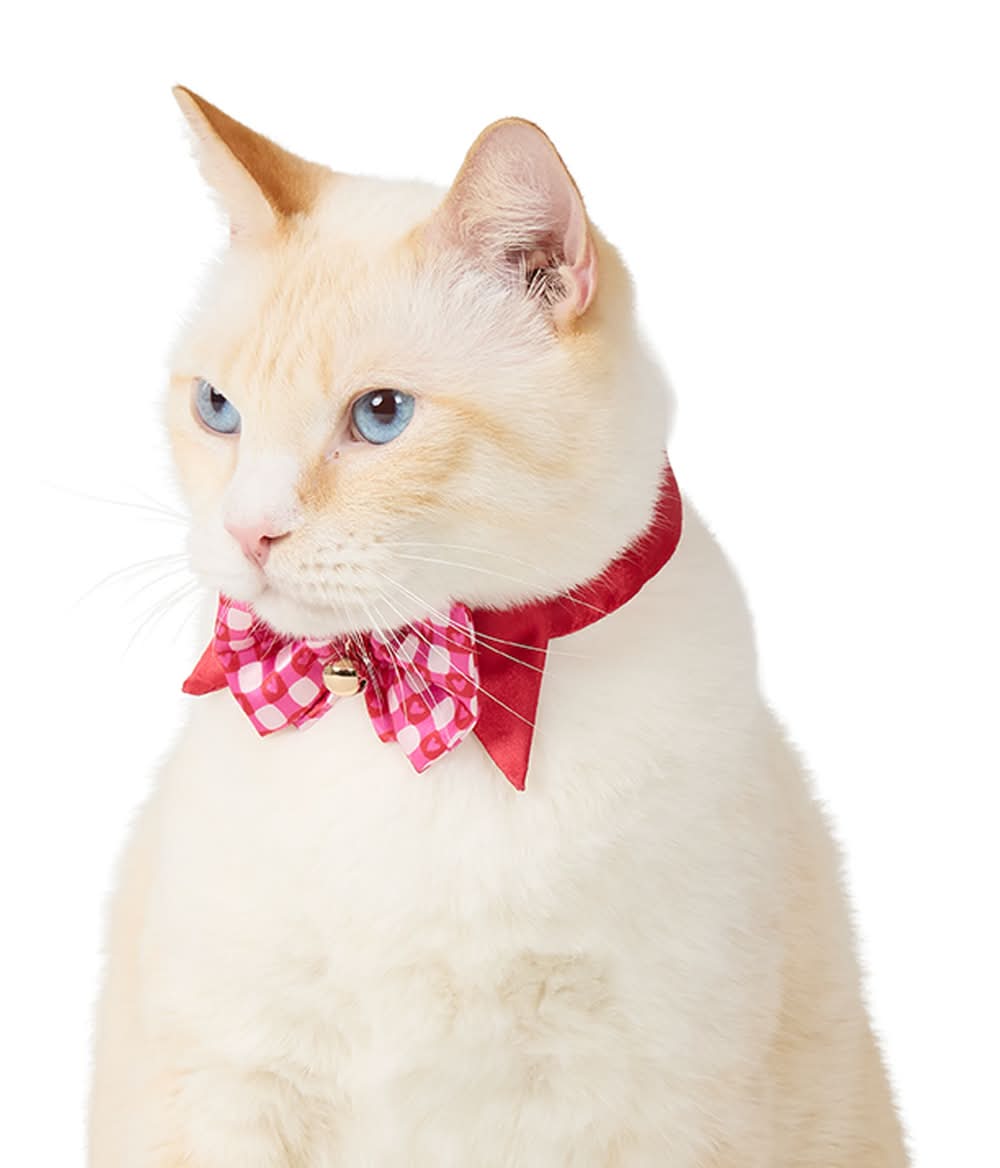 Whisker City® Valentine's Cat Bow (Color: Multi Color)