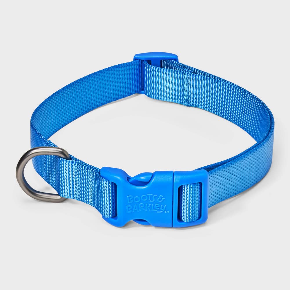 Boots & Barkley Basic Adjustable Dog Collar With Matching Buckle, L, Blue