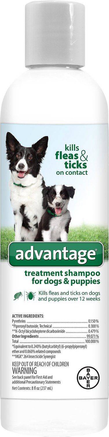 Advantage Kills Fleas and Ticks Dogs and Puppies Shampoo (8 oz)