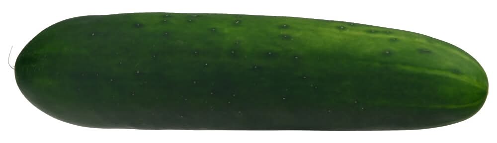 Organic Cucumber