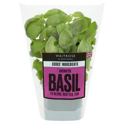 Waitrose & Partners Cooks' Ingredients Aromatic Basil