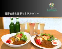 発酵玄米＆カレー オーガニックカフェ ラムノ