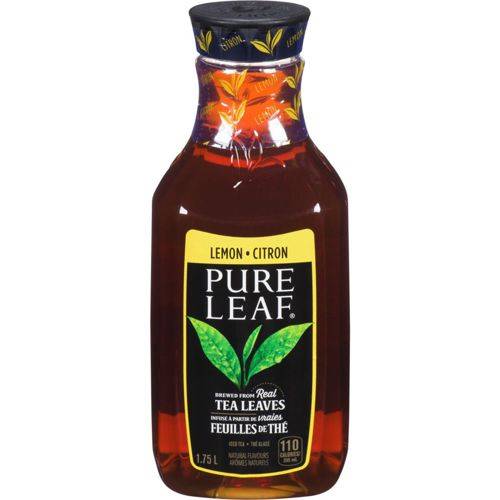 Pure leaf thé au citron (1,75°l) - lemon tea (1.75 l)