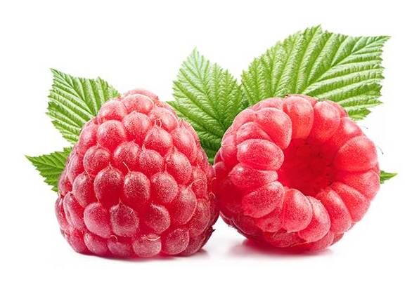 FRAMBOESA BIO - EMB 125G