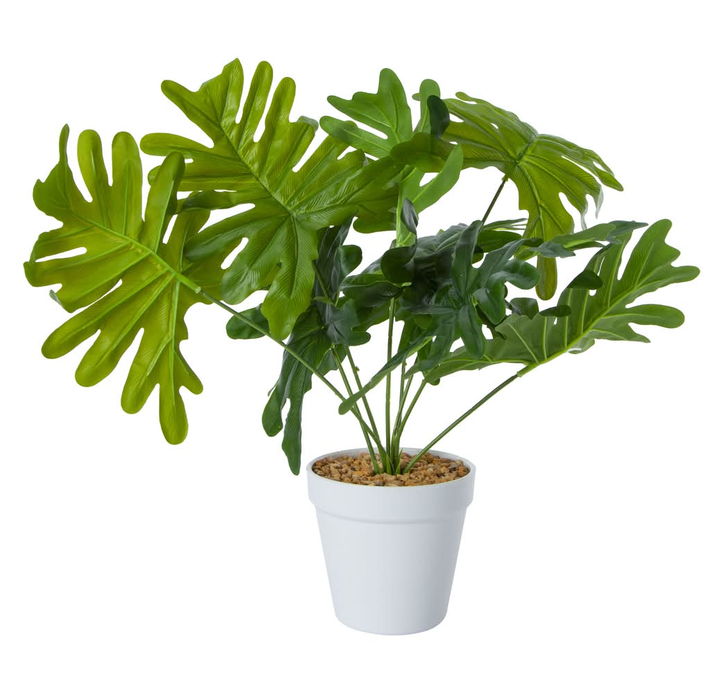 Faux Plant Philodendron