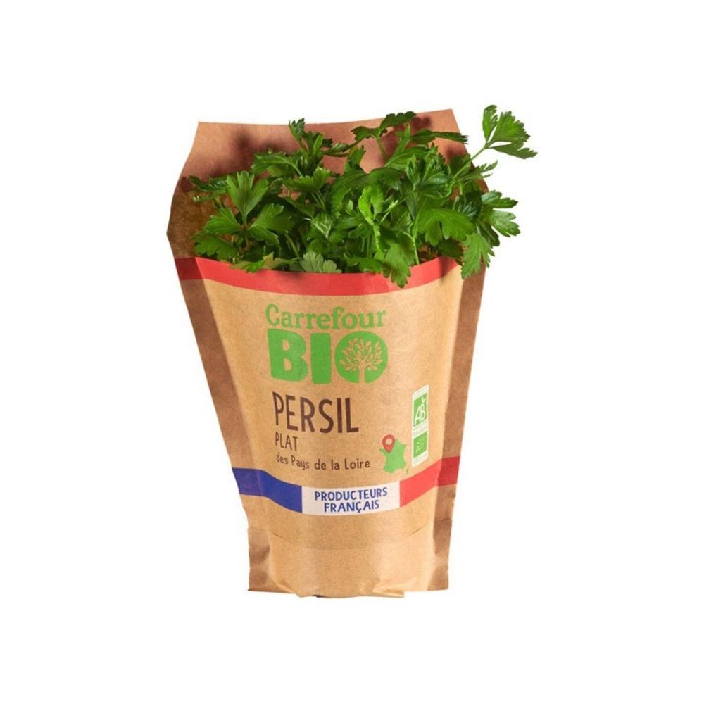 Carrefour Bio - Persil plat en pot