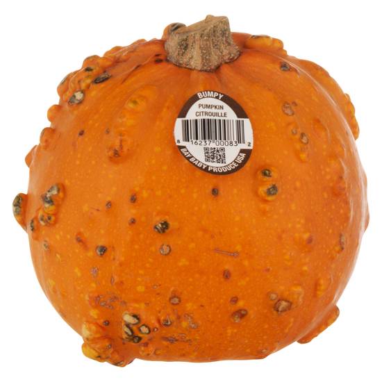 Bumpy Pumpkin