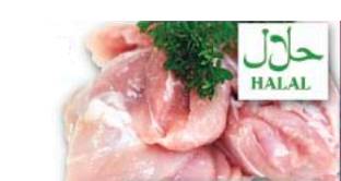 Boneless, Skinless Chicken Leg Meat, Halal (1 Unit per Case)
