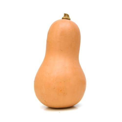 Butternut Squash (1 squash)