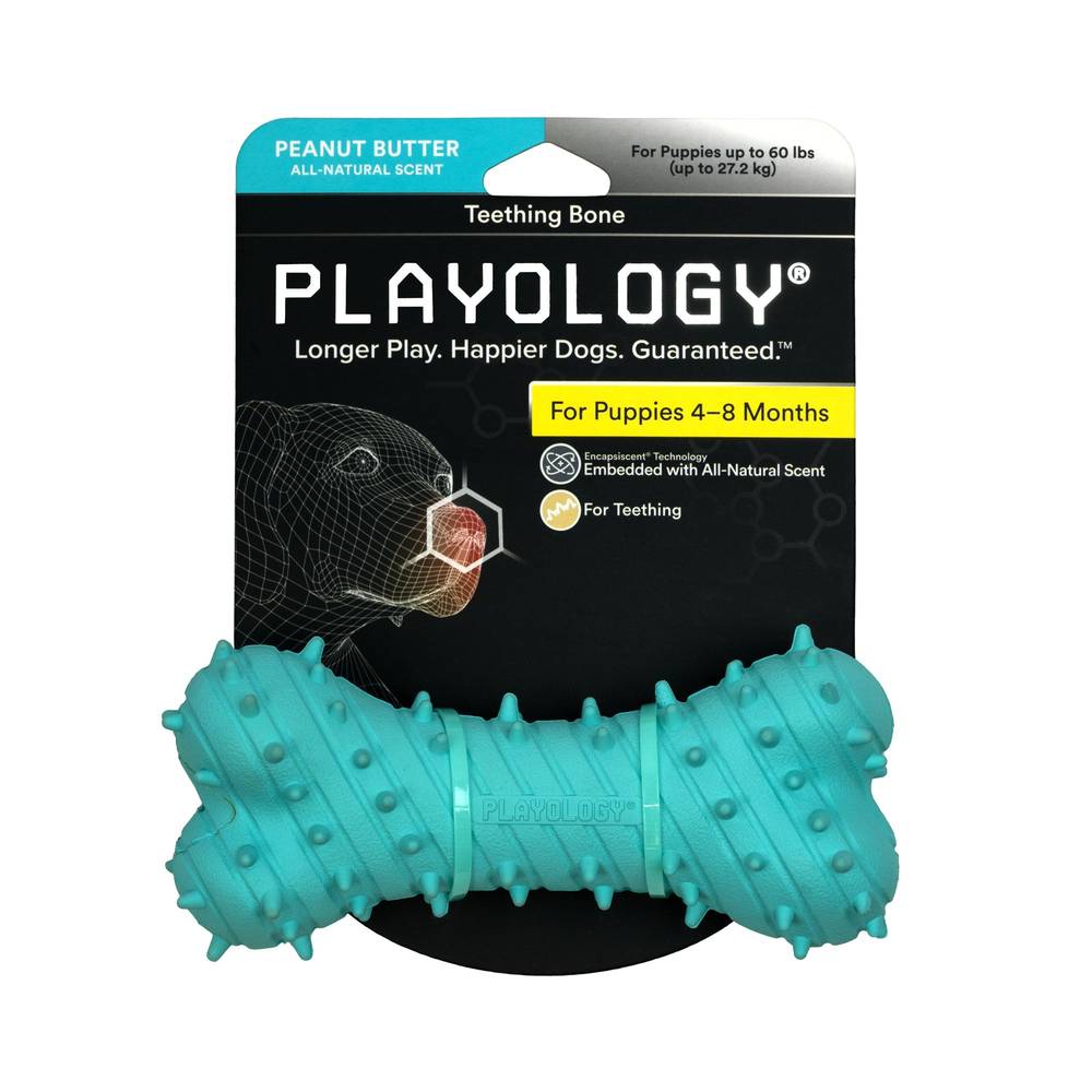 Playology Puppy Teething Bone Dog Toy (blue/peanut butter)