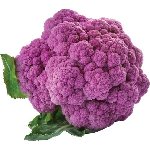 Purple Cauliflower (Avg. 1.57lb)