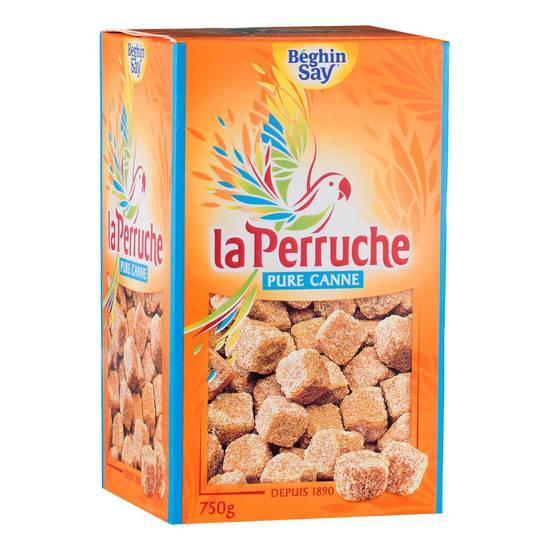 La perruche sucre en morceaux pure canne