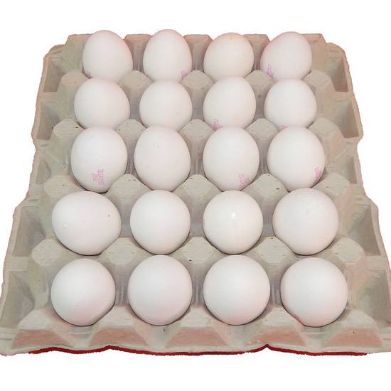 DON CHICHI Huevos 20/1 Jumbos Plastificados