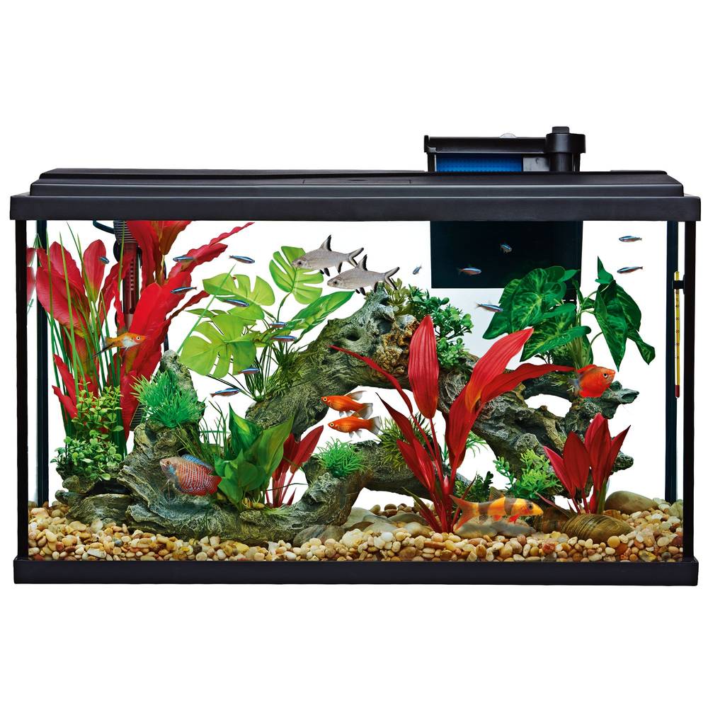 Top Fin Essentials Aquarium Starter Kit