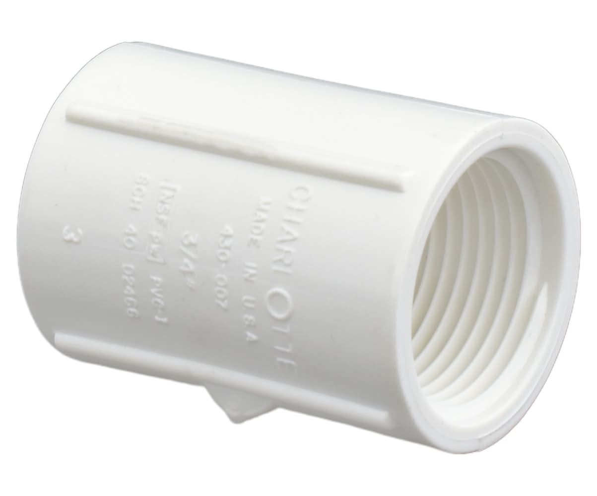 Charlotte Pipe 3/4-in Schedule 40 PVC Coupling