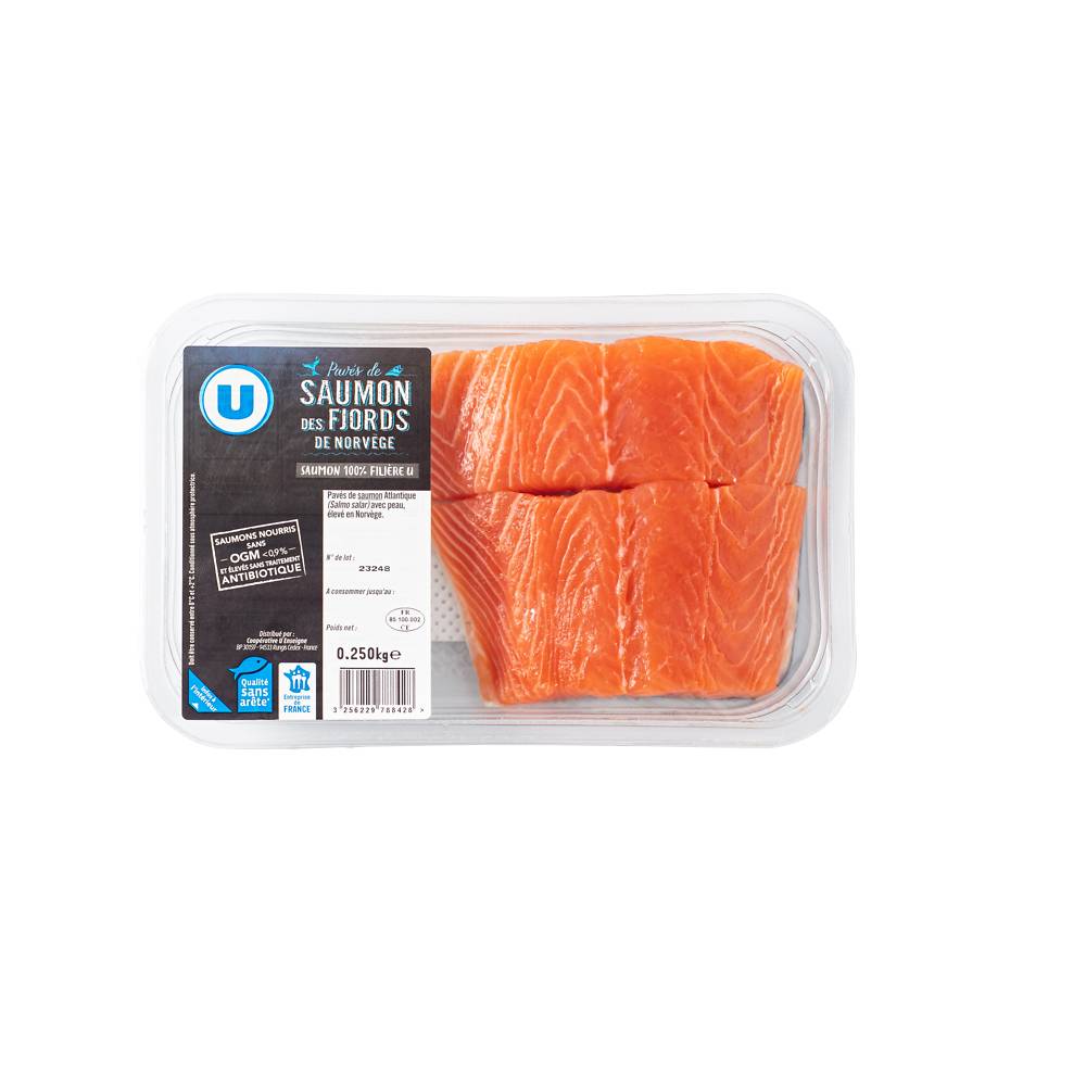 Les Produits U - U - pavé de saumon salmo salar (2 pièces)
