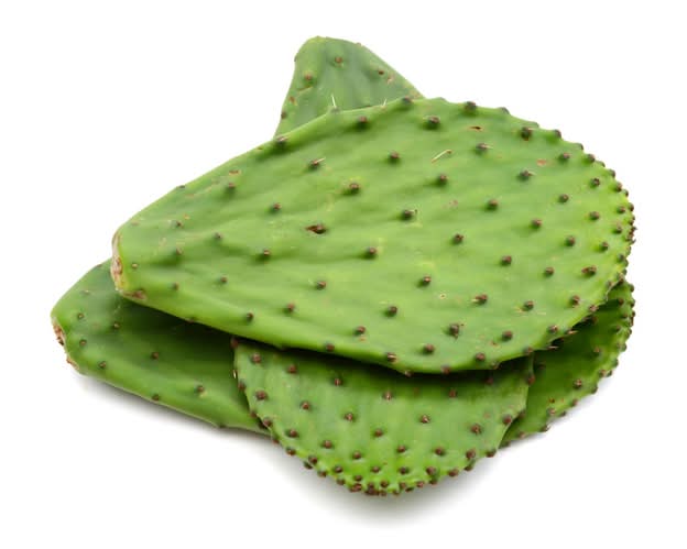 Nopal