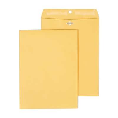 Staples Envelopes (9 in x 12 in)