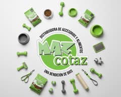 Mazcotaz 🛒🐶🐱 (Chihuahua)