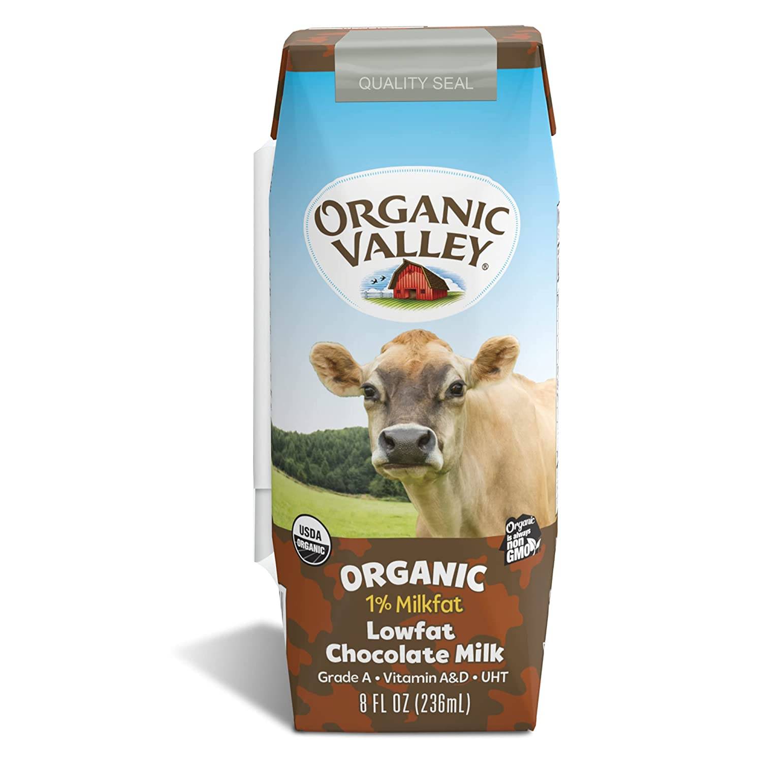 Kids Organic Chocolate Milk    