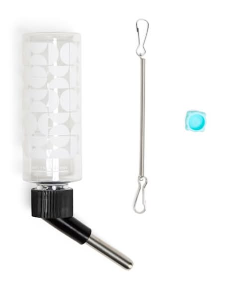 EveryYay Small Animal Printed Water Bottle 4 Floz, XS