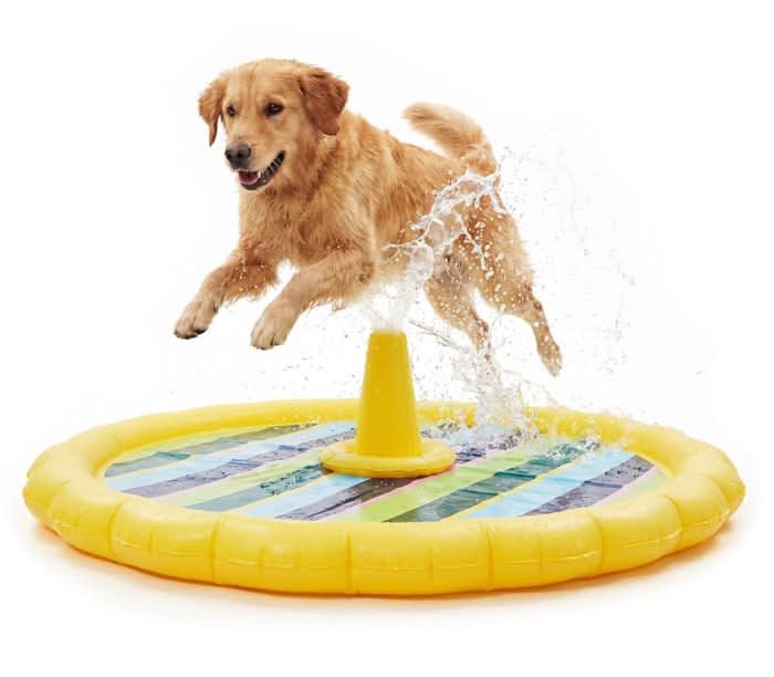 Leaps & Bounds Splash Pad Outdoor Toy for Dogs, 51" D, XX-Large