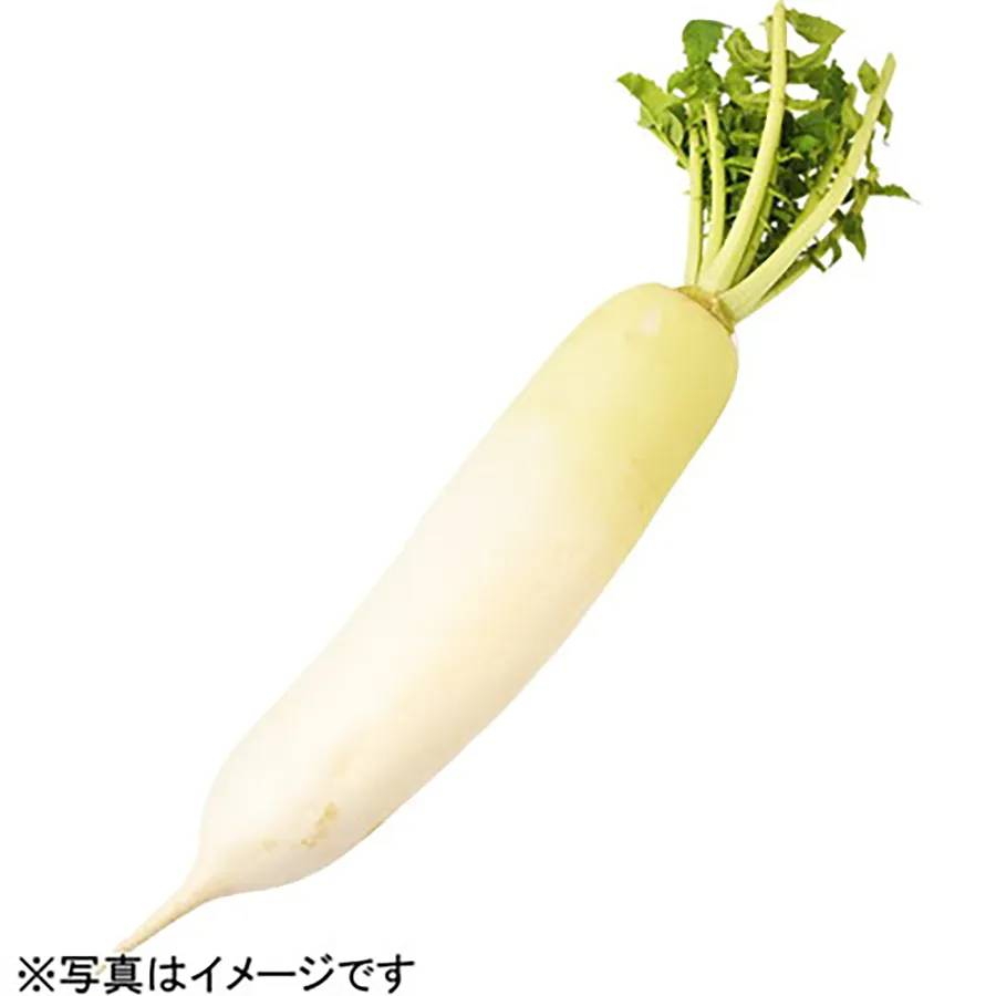 だいこん 1本