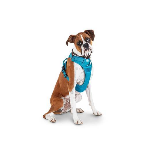 Good2go Blue Front Walking Dog Harness Small Delivery Near Me Order Online Uber Eats